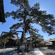 大慶寺の境内にあります