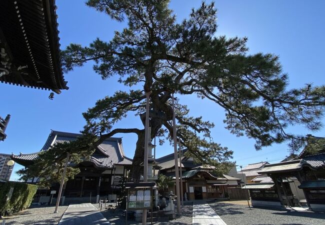 大慶寺の境内にあります