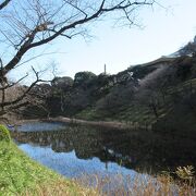 冬枯れの木々と、濠を挟んで北の丸公園にある日本武道館の「大きな玉ねぎ」が特徴の大屋根が印象に残りました。