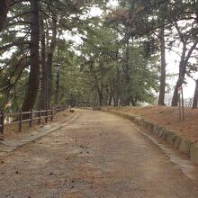 長崎街道として使用されていた松並木の様子