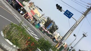 レンタサイクルで観光しました