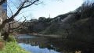 冬枯れの木々と、濠を挟んで北の丸公園にある日本武道館の「大きな玉ねぎ」が特徴の大屋根が印象に残りました。