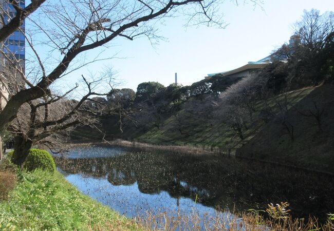 冬枯れの木々と、濠を挟んで北の丸公園にある日本武道館の「大きな玉ねぎ」が特徴の大屋根が印象に残りました。