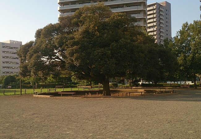 橋本公園