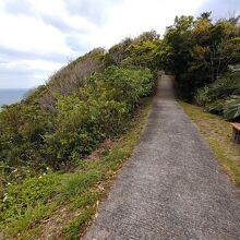 左側に海が見えた