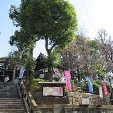 雪ヶ谷八幡神社