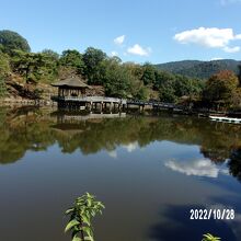 全体の様子です。