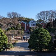 名前のとおり、横浜港を見下ろす丘にある公園です。