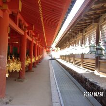 全体の様子です。