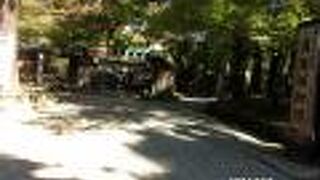 日本の最初の万葉集に詠まれた植物をあつめ公開しました。