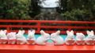 以前よりうさぎが増えた