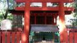 春日大社の境内にある神社でも筆頭格の扱いです。