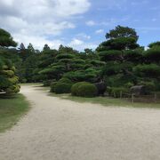 広くて整備されたきれいな庭園