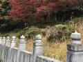 狸谷山不動院