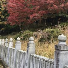 狸谷山不動院