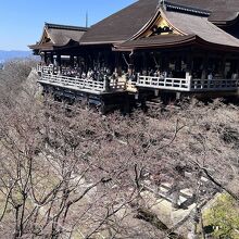 清水の舞台