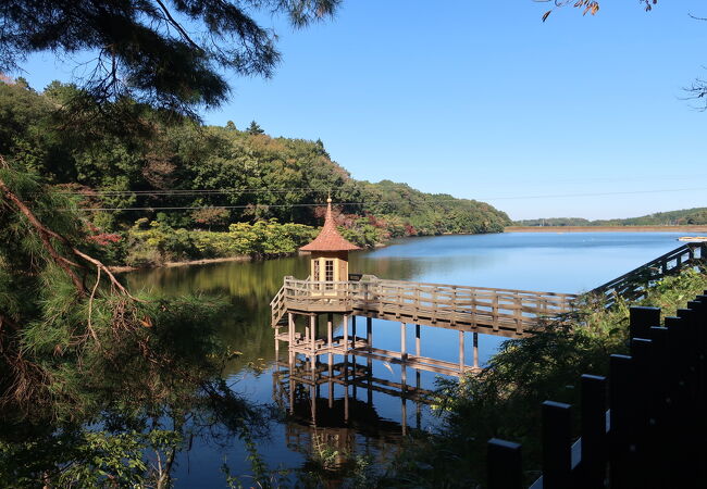 メッツァの一部、長閑な湖畔の風景を楽しめる ♪