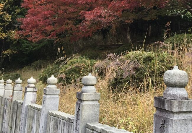 狸谷山不動院