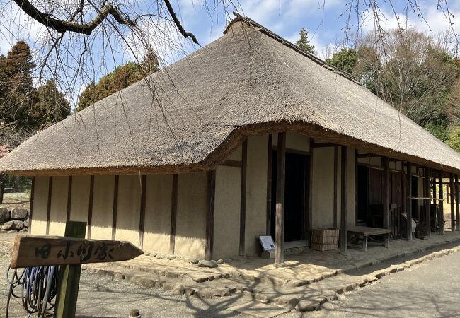 江戸時代の藁葺き古民家を移築
