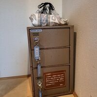 こんなセーフティボックス見たこともない。