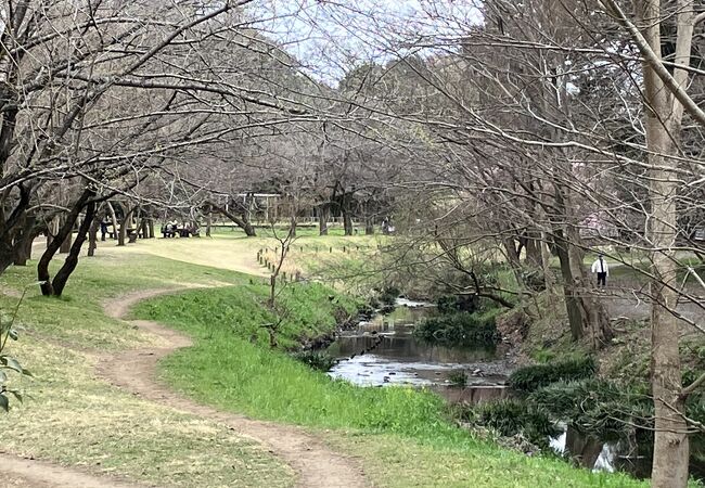 「引地川」沿いの自然豊かな公園