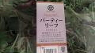 フレッシュワン 大丸東京店