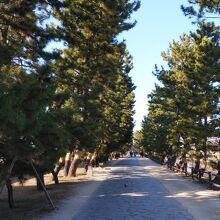 草加松原遊歩道