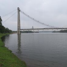 ...両端が断ち切られたかのようで奇妙。