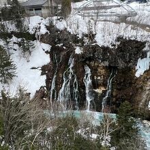 温泉街のすぐ近くで見られます。