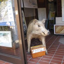 浄蓮の滝資料館