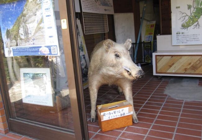 浄蓮の滝資料館