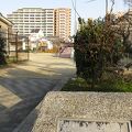 鯰江北公園 <サクラ公園>