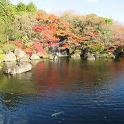 滝のある日本庭園