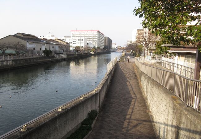 城北川遊歩道