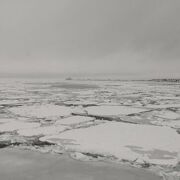 流氷接岸のため港近くで流氷観光