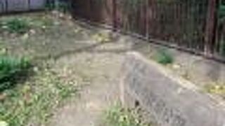 池や田んぼのある公園