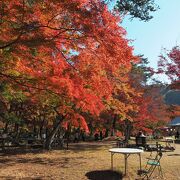 長瀞の紅葉と言えばここ