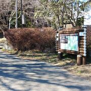 紅葉と富士山の散策スポット