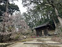 浜田城山公園