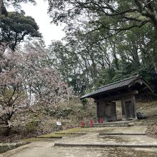 浜田城山公園