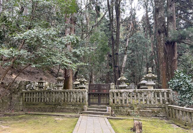 きれいに保たれていました