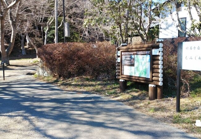 紅葉と富士山の散策スポット