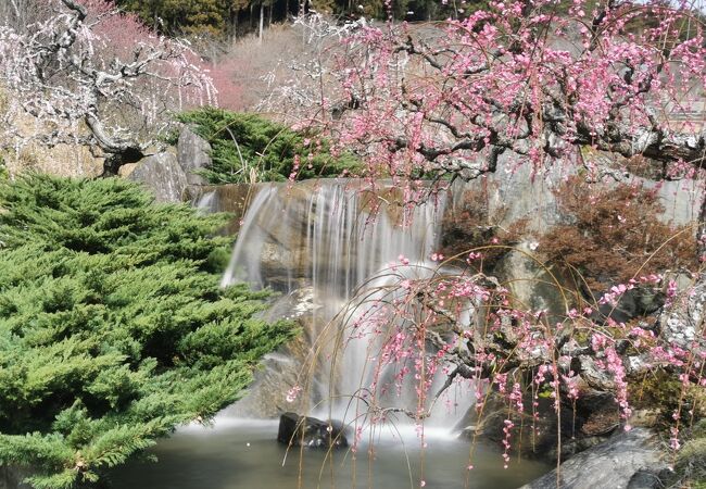 奥山高原