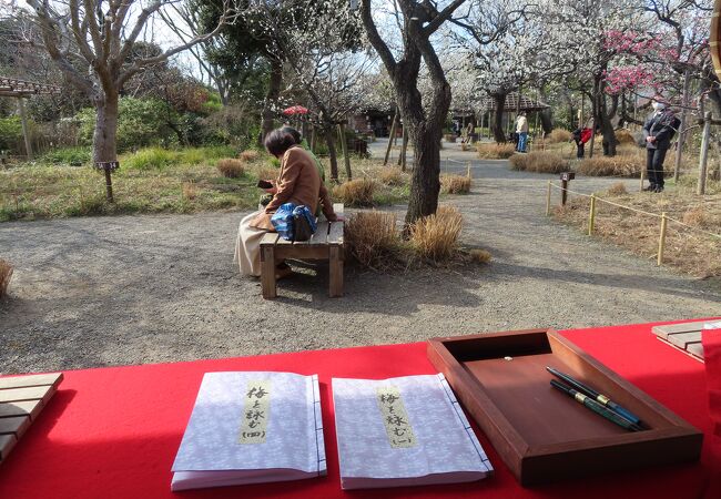 小さな都立公園　江戸時代から開けていた向島に町人の作った百花園