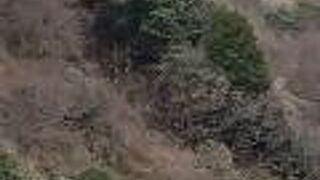 ちらりと見える灯台