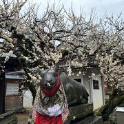 花手水がモリモリでした