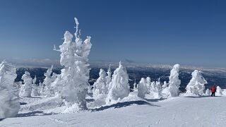 天気は快晴、広大なゲレンデ、樹氷と山々の素晴らしい景色