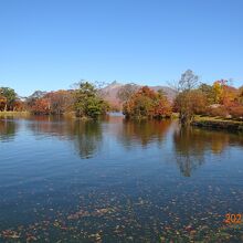 大沼湖(北海道七飯町)