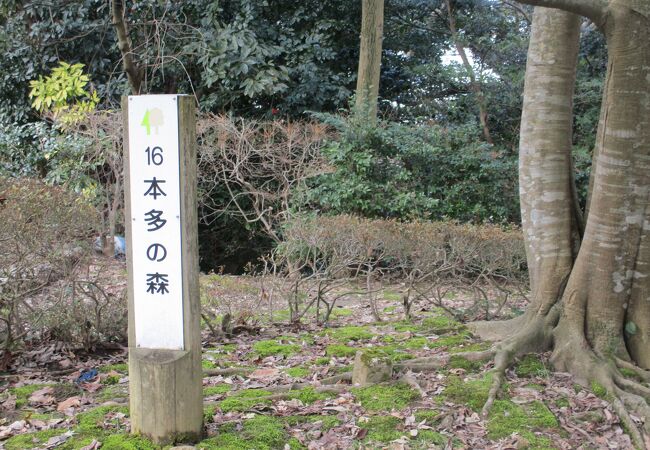 本多の森公園