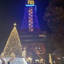 冬のライトアップ